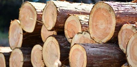 こだわりの素材